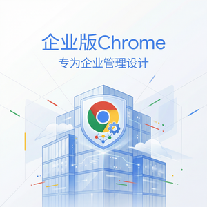 谷歌浏览器下载 - Chrome浏览器下载权限加密